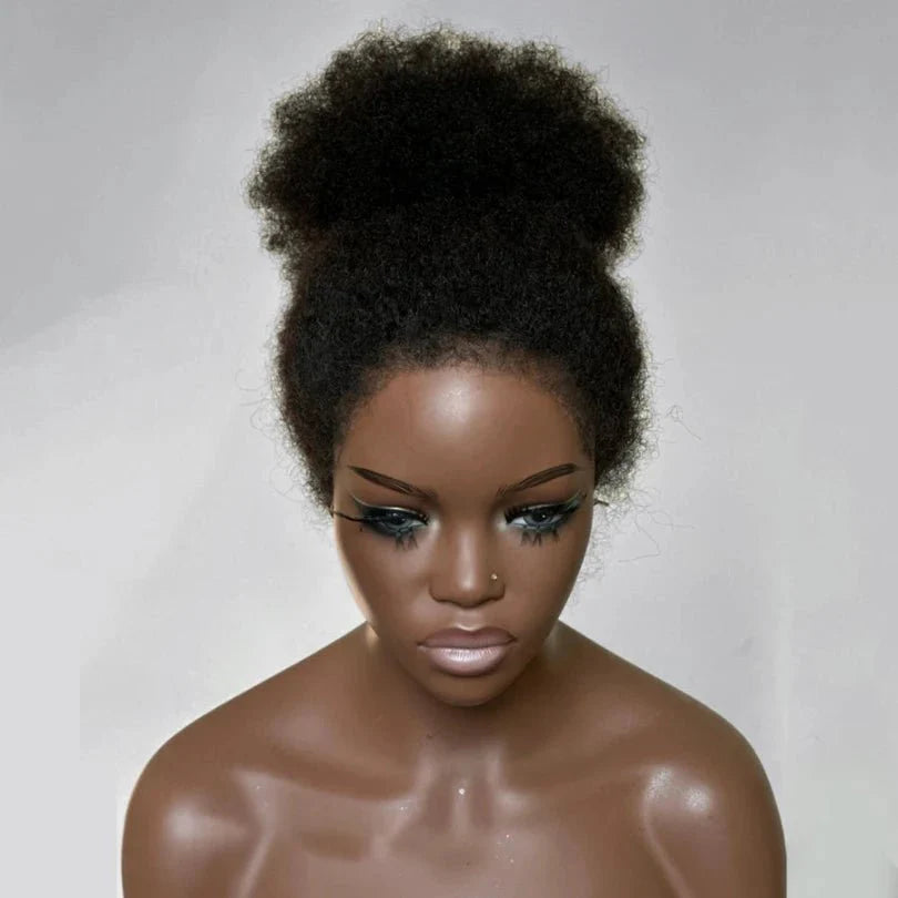 Natural Hairline Afro Curly Human Hair Lace Front Wig
