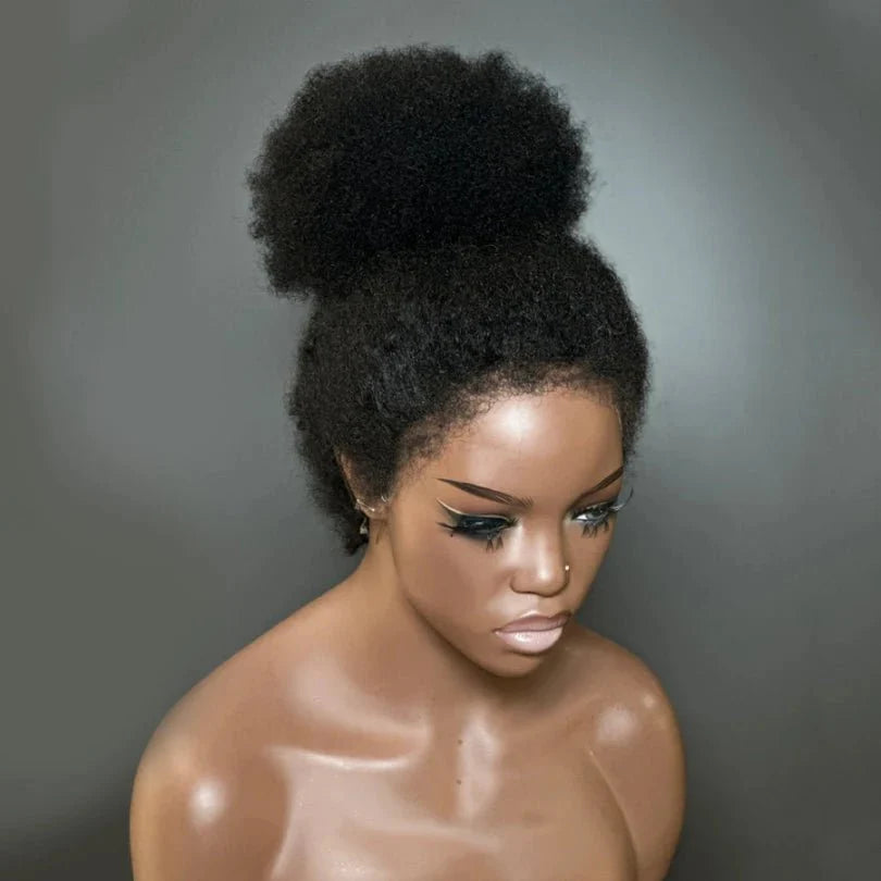 Natural Hairline Afro Curly Human Hair Lace Front Wig