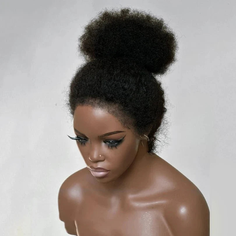 Natural Hairline Afro Curly Human Hair Lace Front Wig
